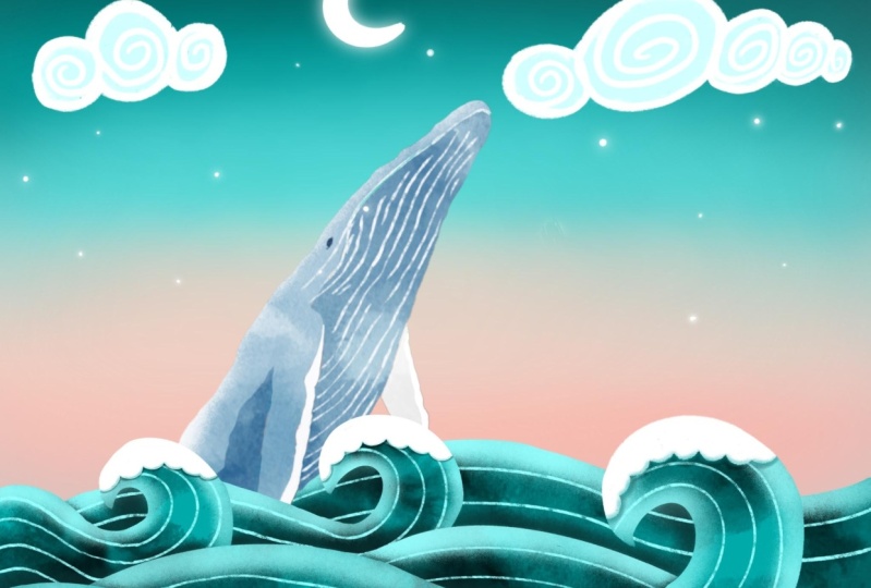 Whimsical waves and whale
