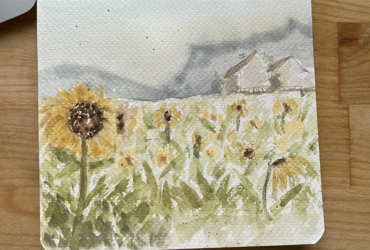 Sunflower Field - student project