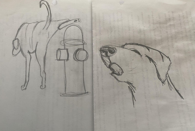 Dog sketches