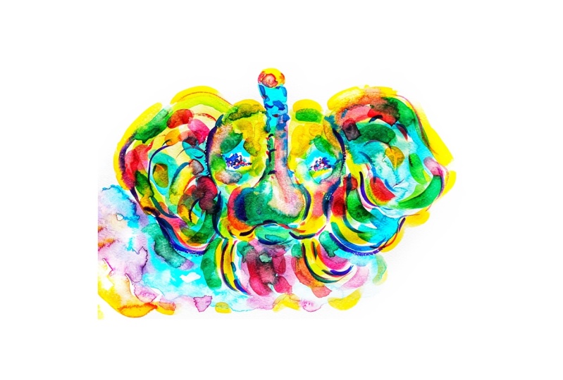 Elephant Watercolor