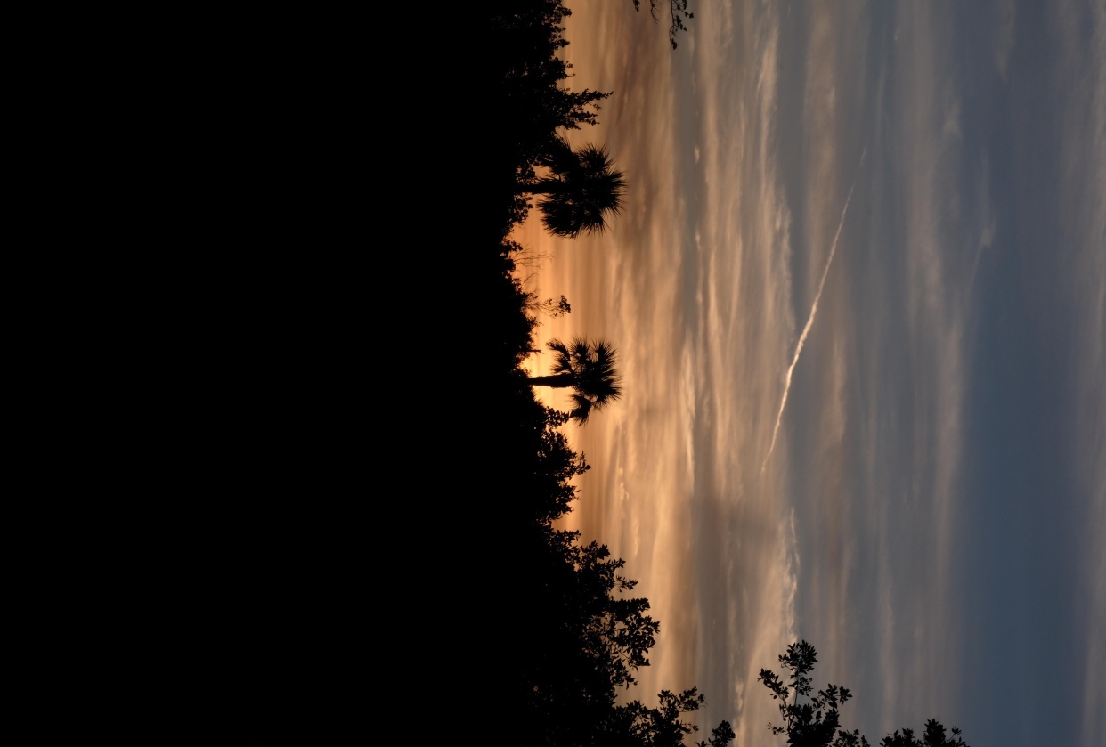 sunset - student project