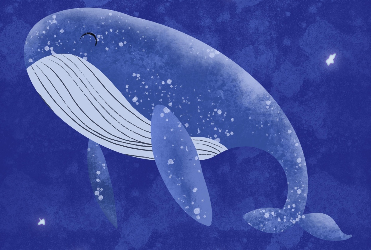 A whale - student project