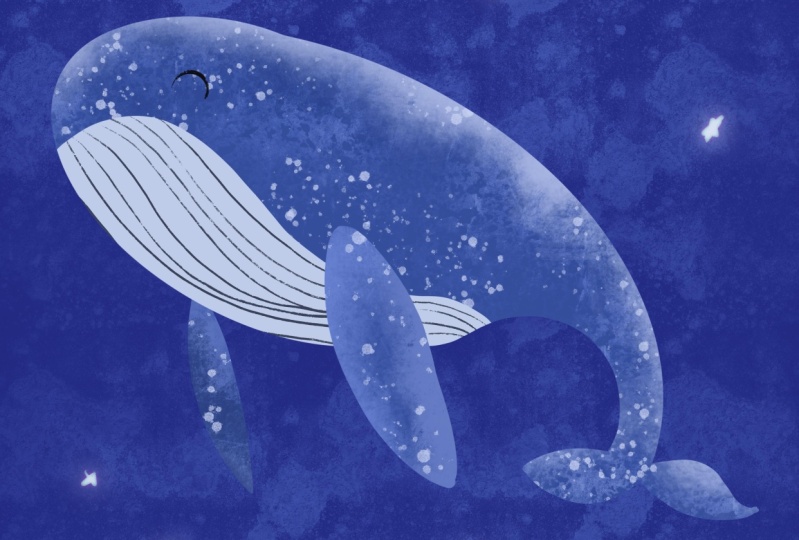 A whale