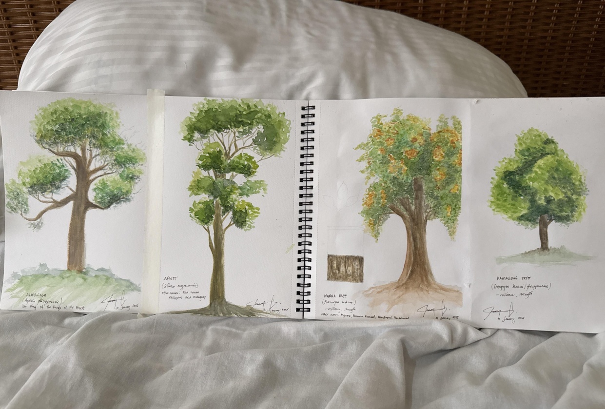 Trees - student project