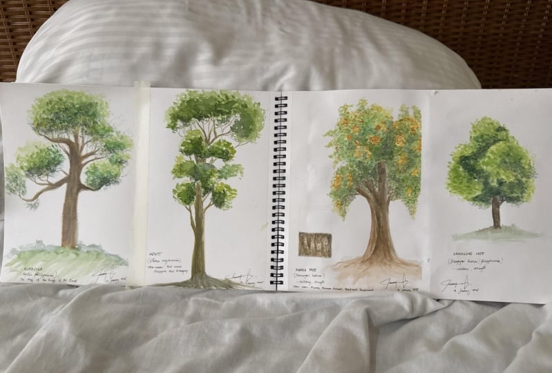 Trees