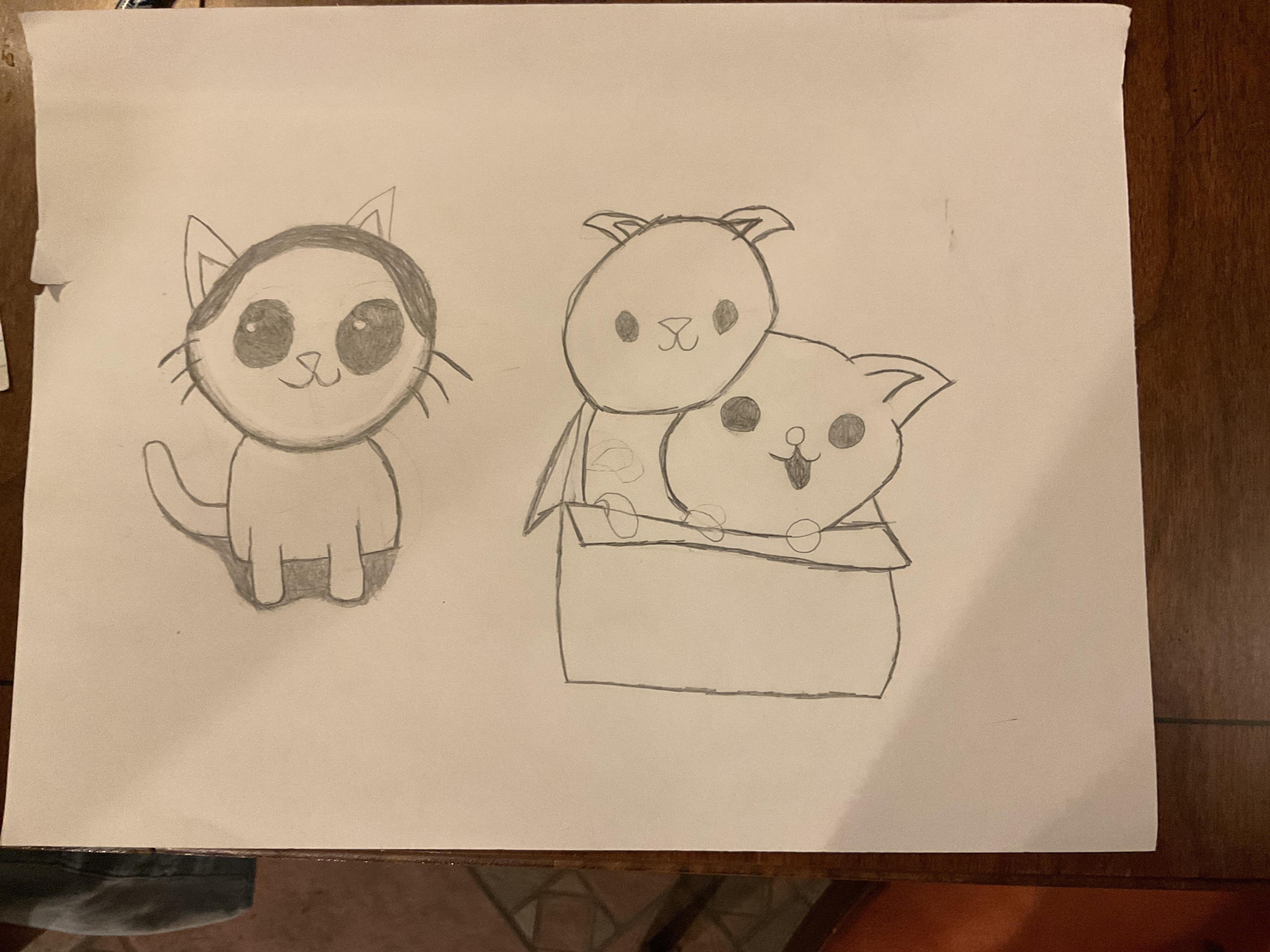 Silly cats - student project