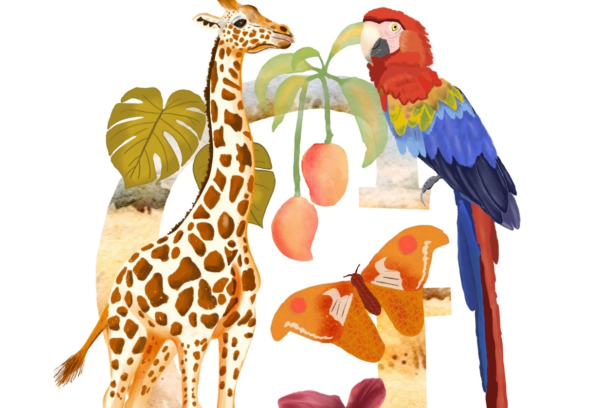 Tropical alphabet and giraffe project - student project