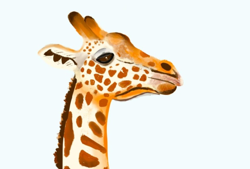 Great Giraffes