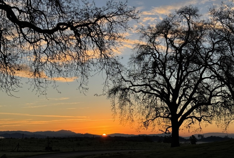 Sunrise at Bishop's Ranch