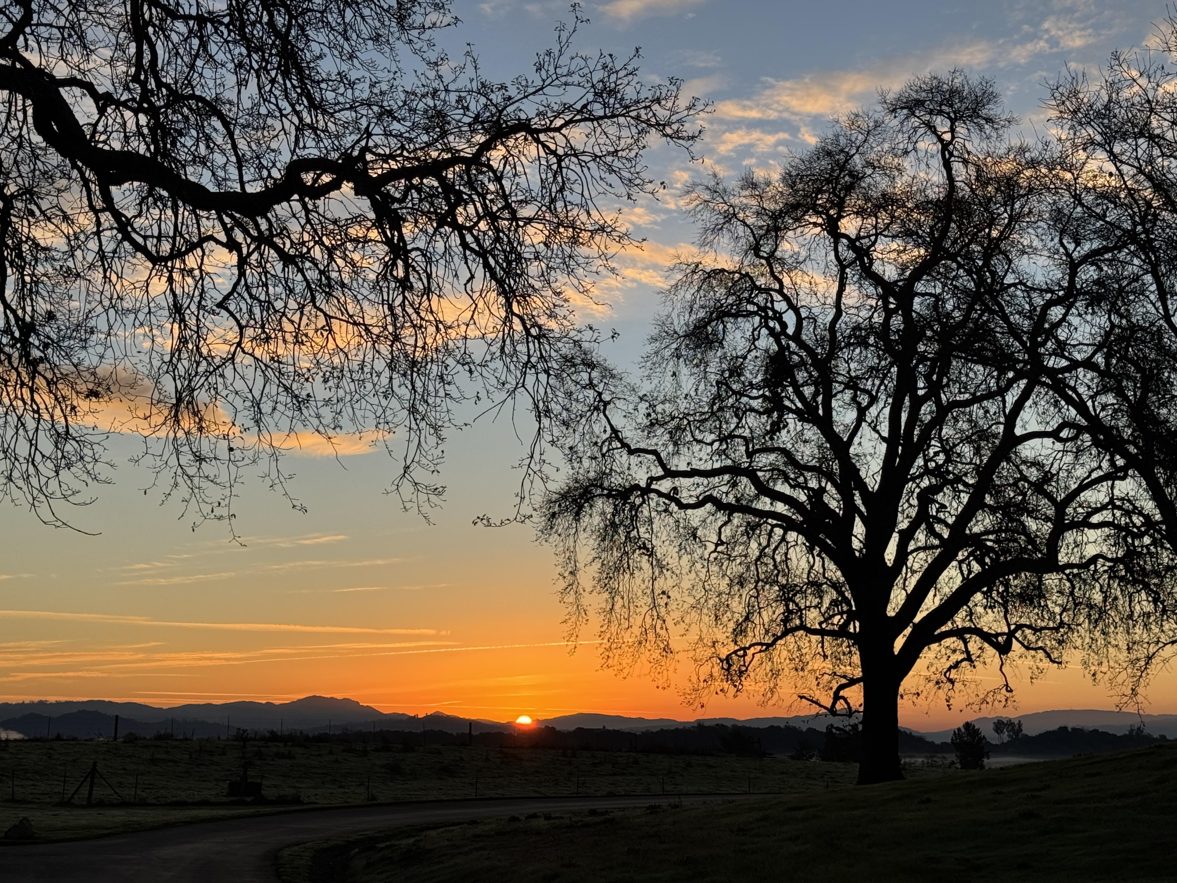 Sunrise at Bishop's Ranch - student project