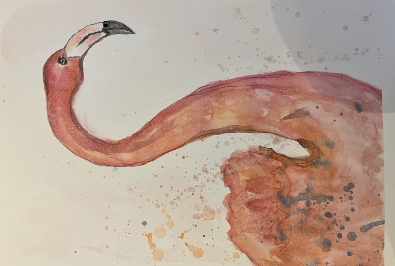 Flamingo