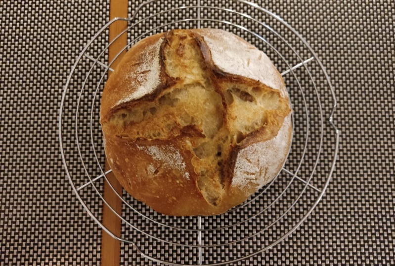 1st sourdough