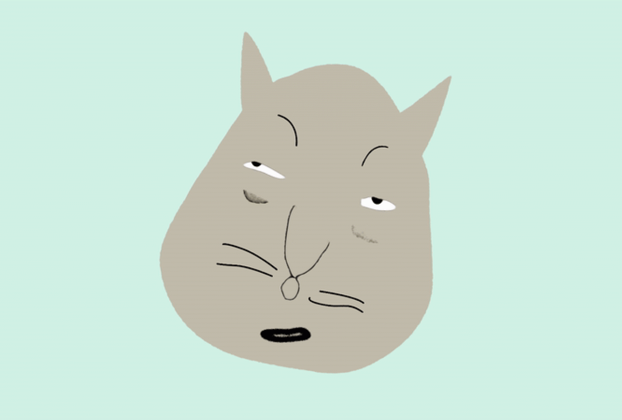 Meow - student project