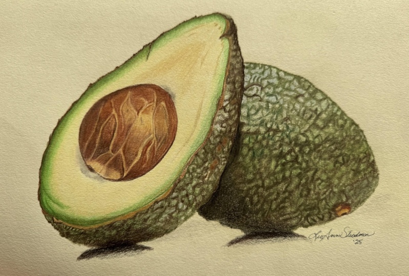Colored Pencil Avocado