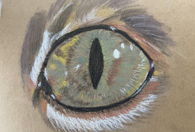 Cat eye