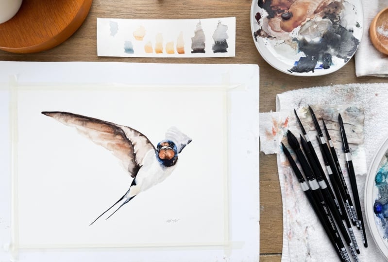 Watercolor Barn Swallow