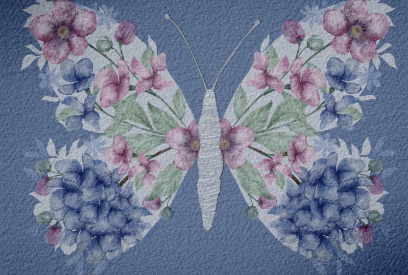 Butterfly postcard