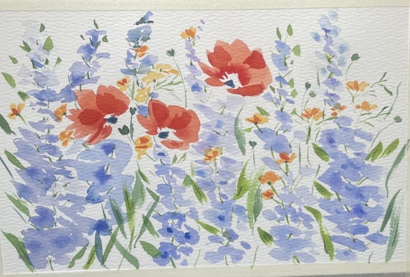 Rainbow meadow