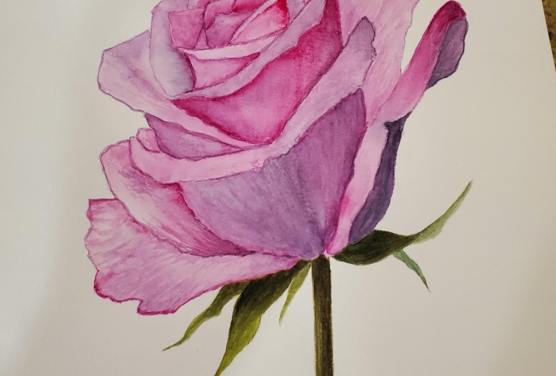 Rose
