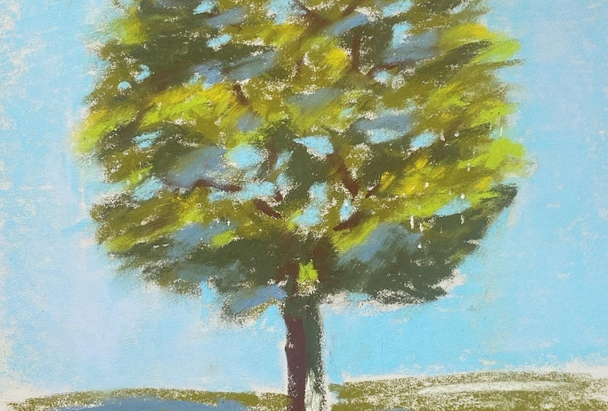 First Pastel draw - student project