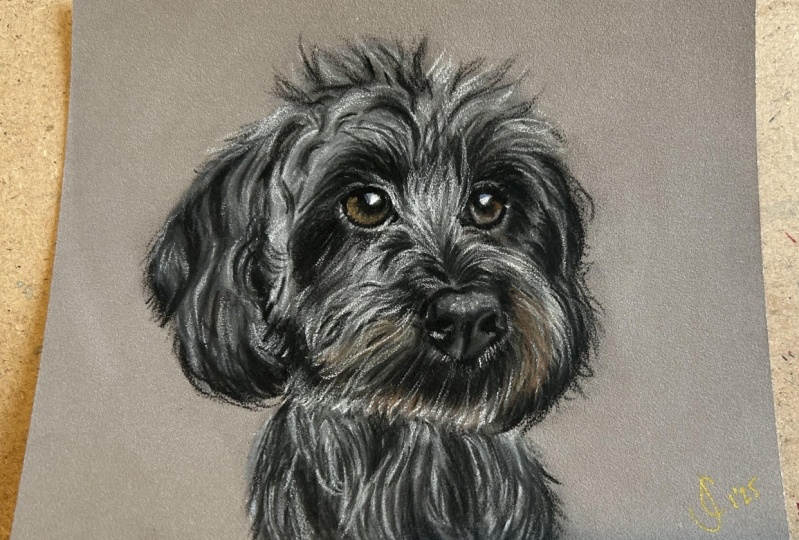 My first Pastel Pencil dog