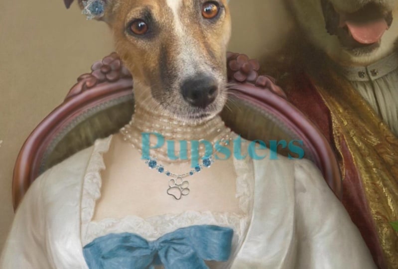 Pupster Video