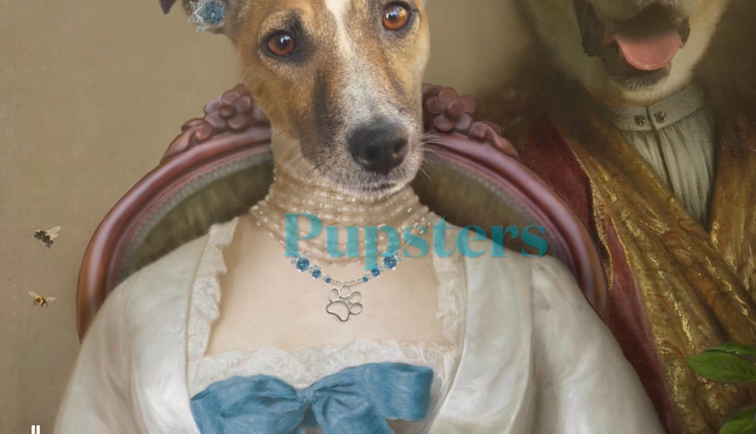 Pupster Video - student project
