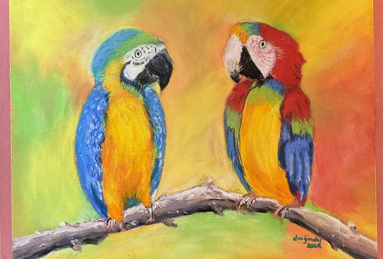 Colorful Toucan Friends - student project