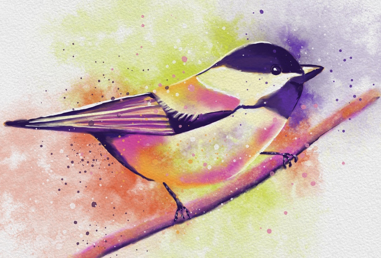 chickadee & turtle - student project