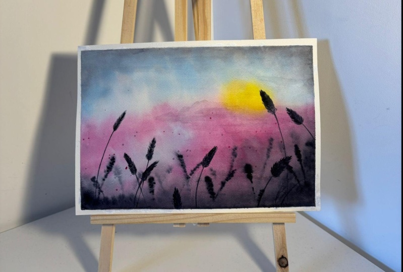 Coucher de soleil dans les champs
