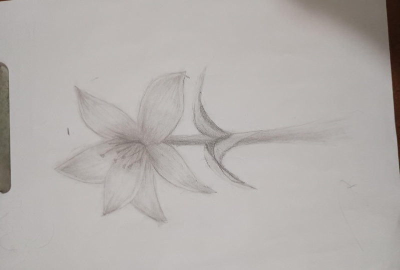 Flor do projeto
