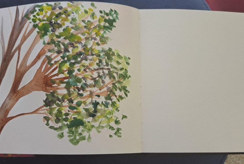 The tree outside my window