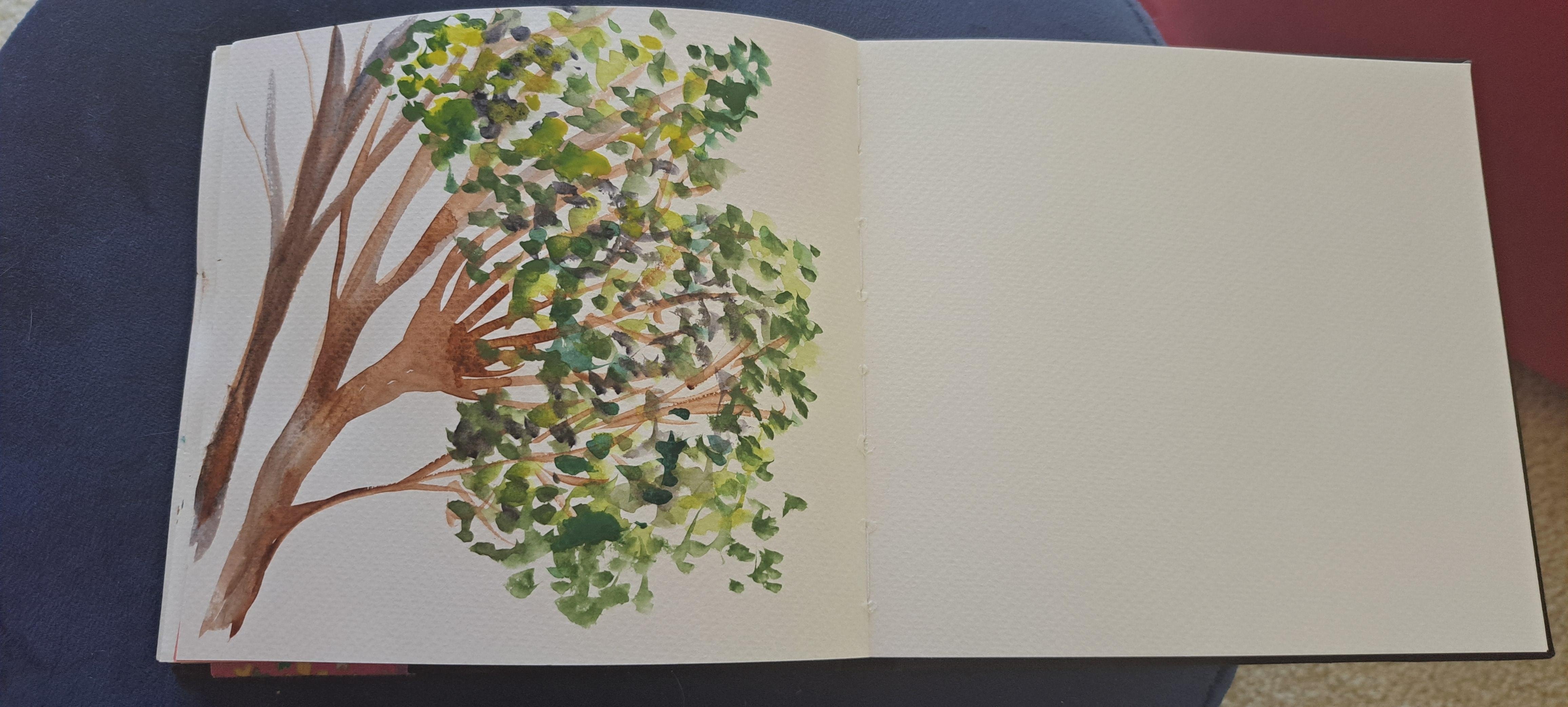 The tree outside my window - student project