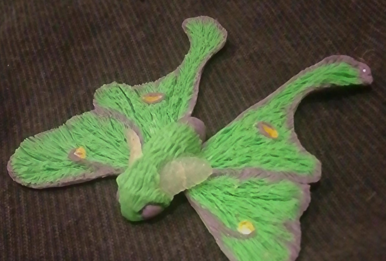 Luna Moth - student project