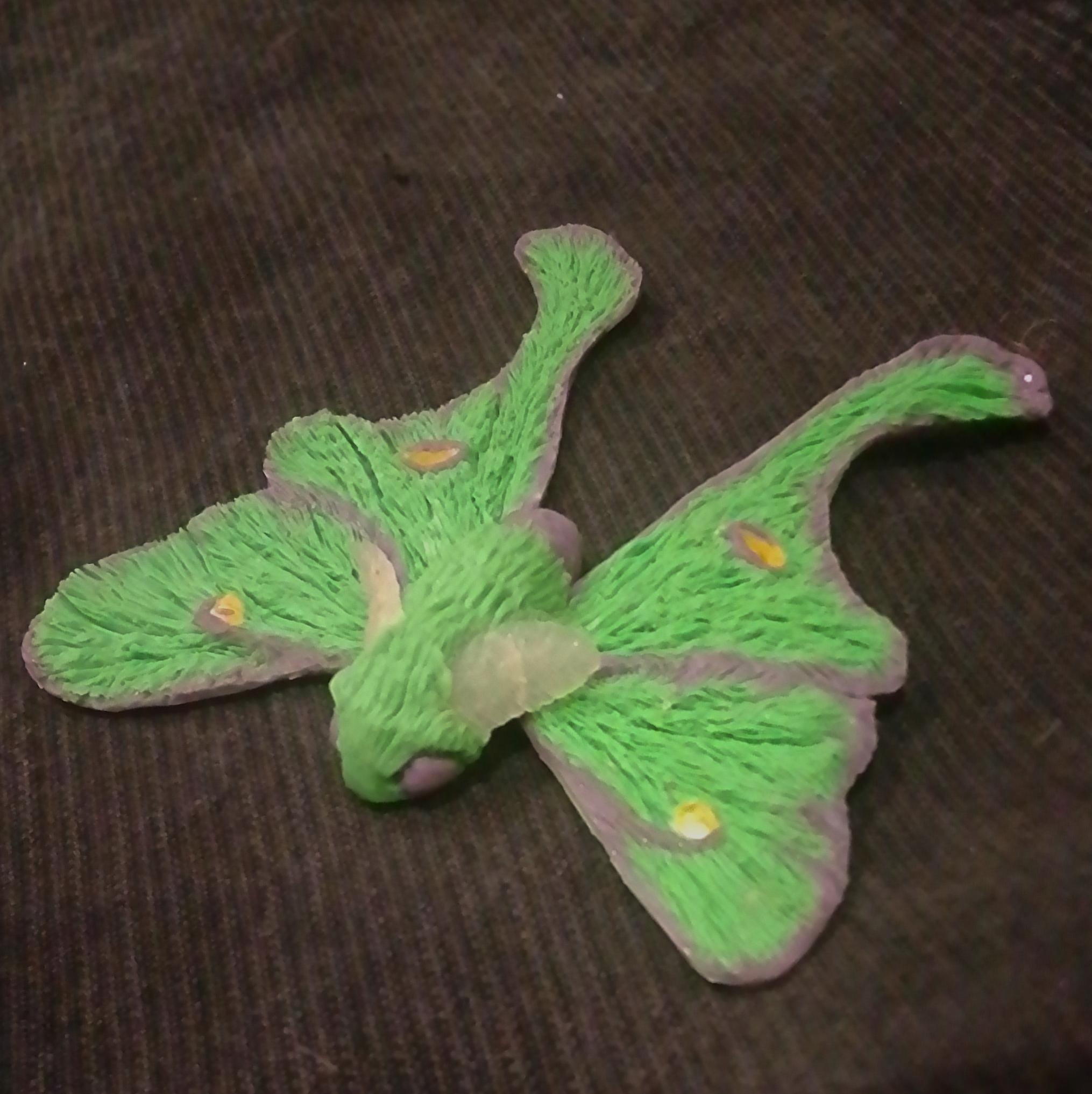 more-projects-from-class-img