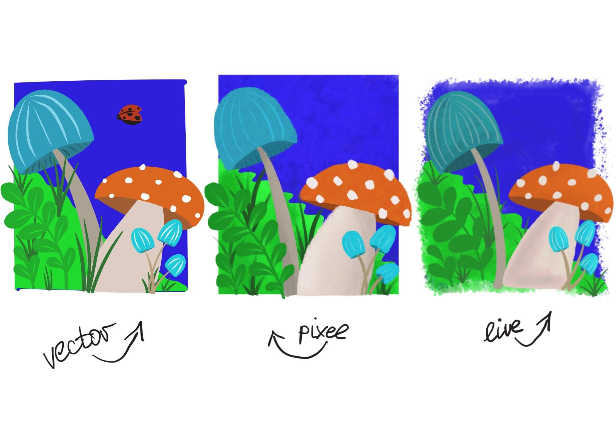 more-projects-from-class-img