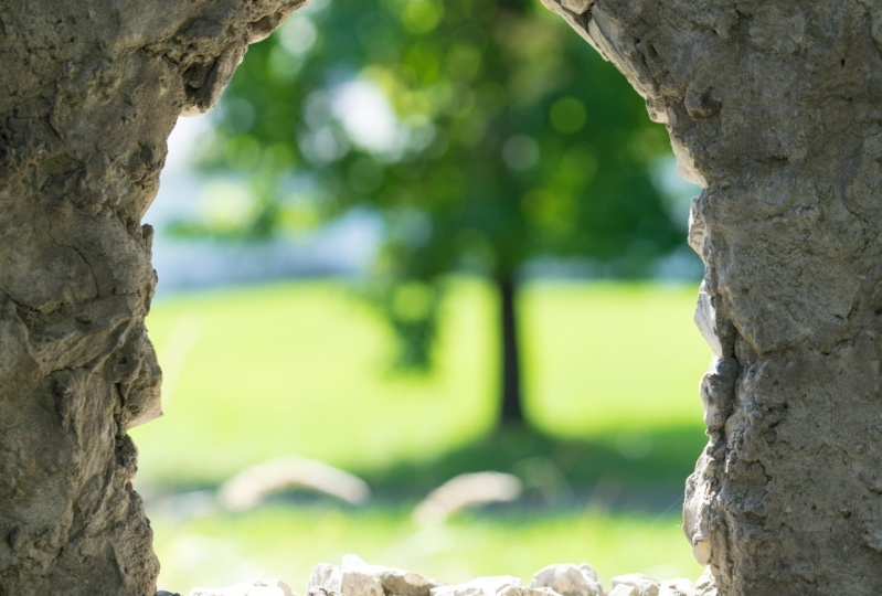 Creative Writing Blog