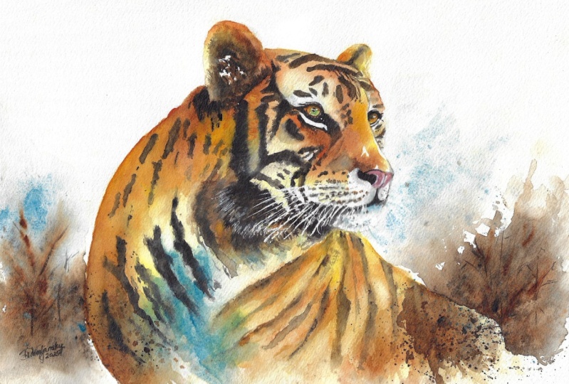 The Tiger
