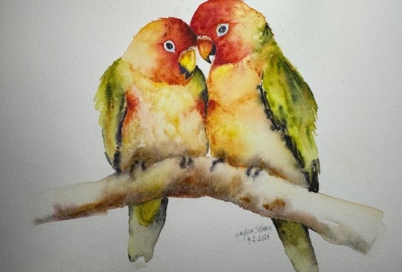Lovebirds