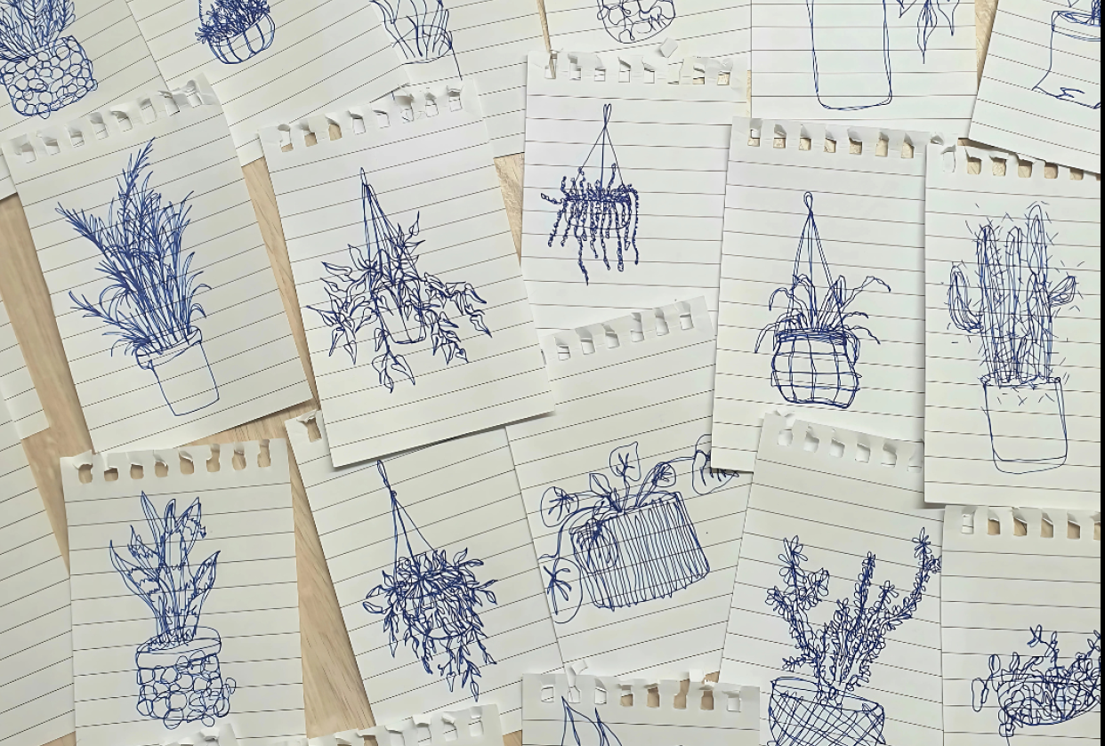 Blind Plant Drawings - student project