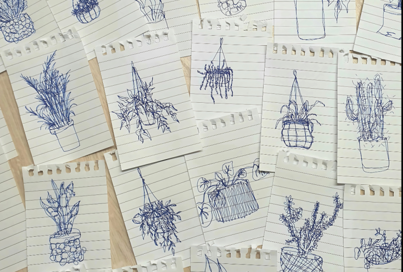 Blind Plant Drawings