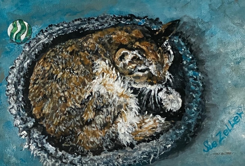 Drawing Cats…. Family Cat Iris by Sue Zeller