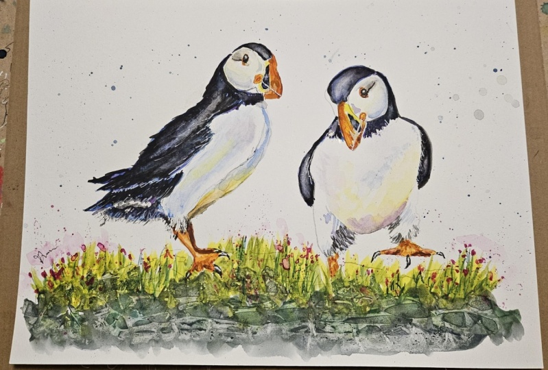 Playful Puffins