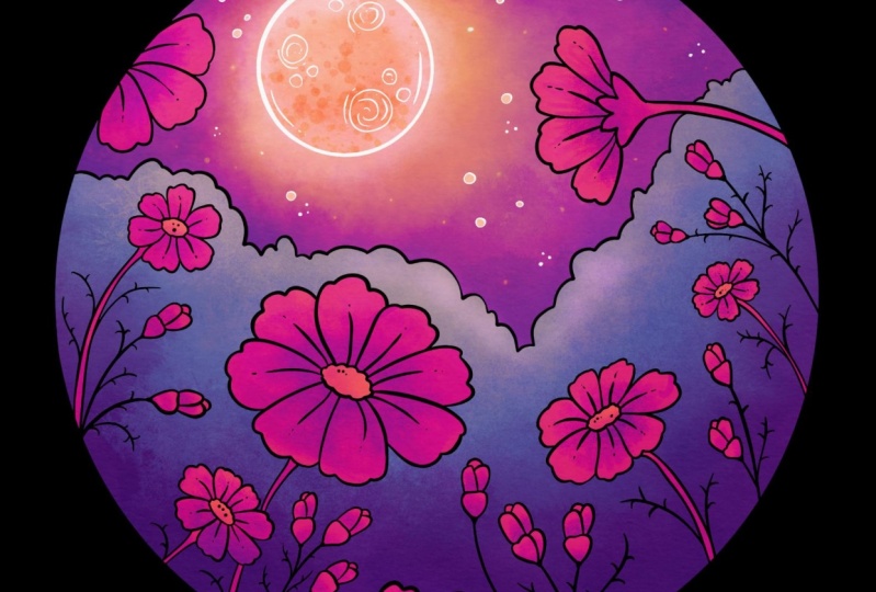 Cosmos in moonlight