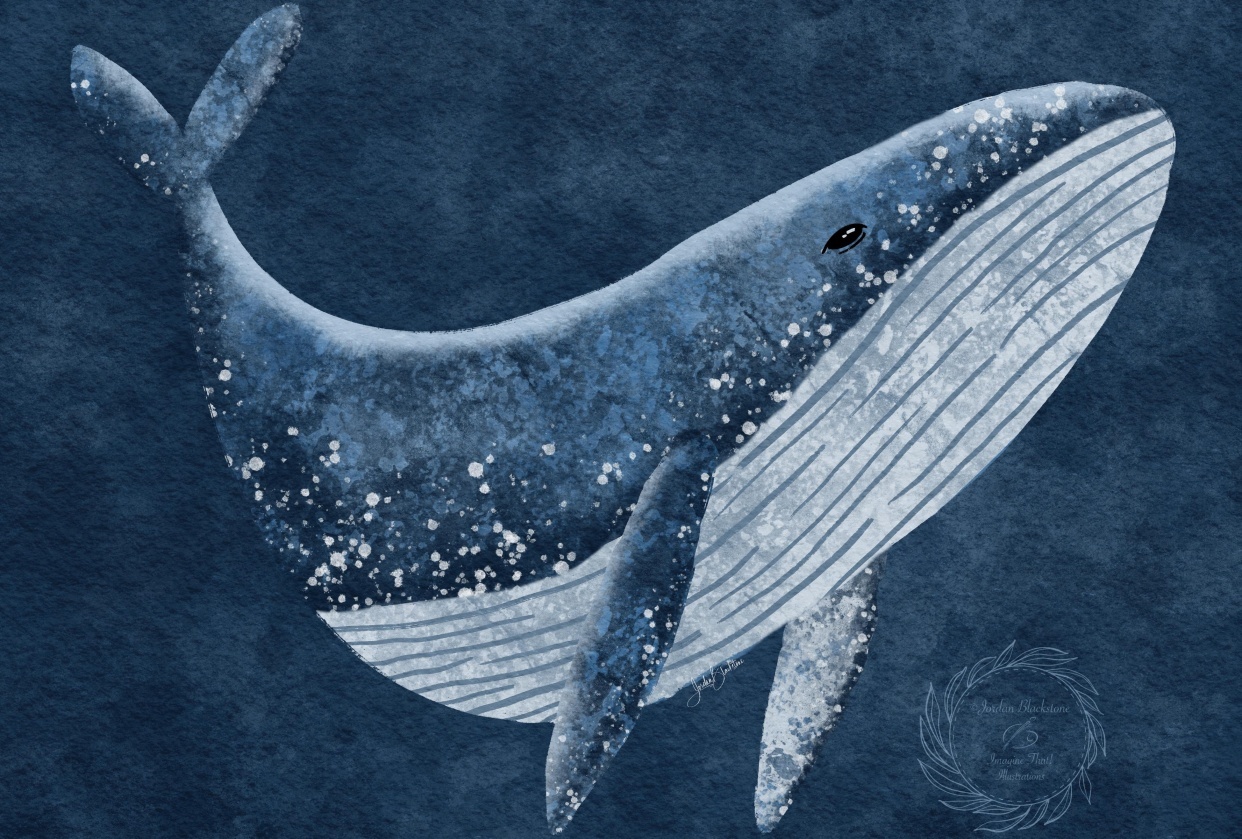 Dreamy Whale - student project