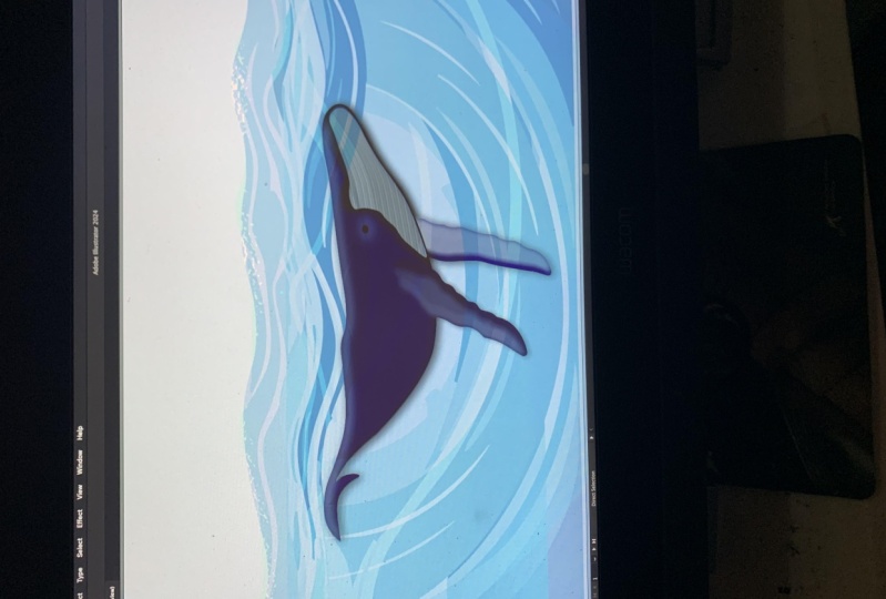 humpback