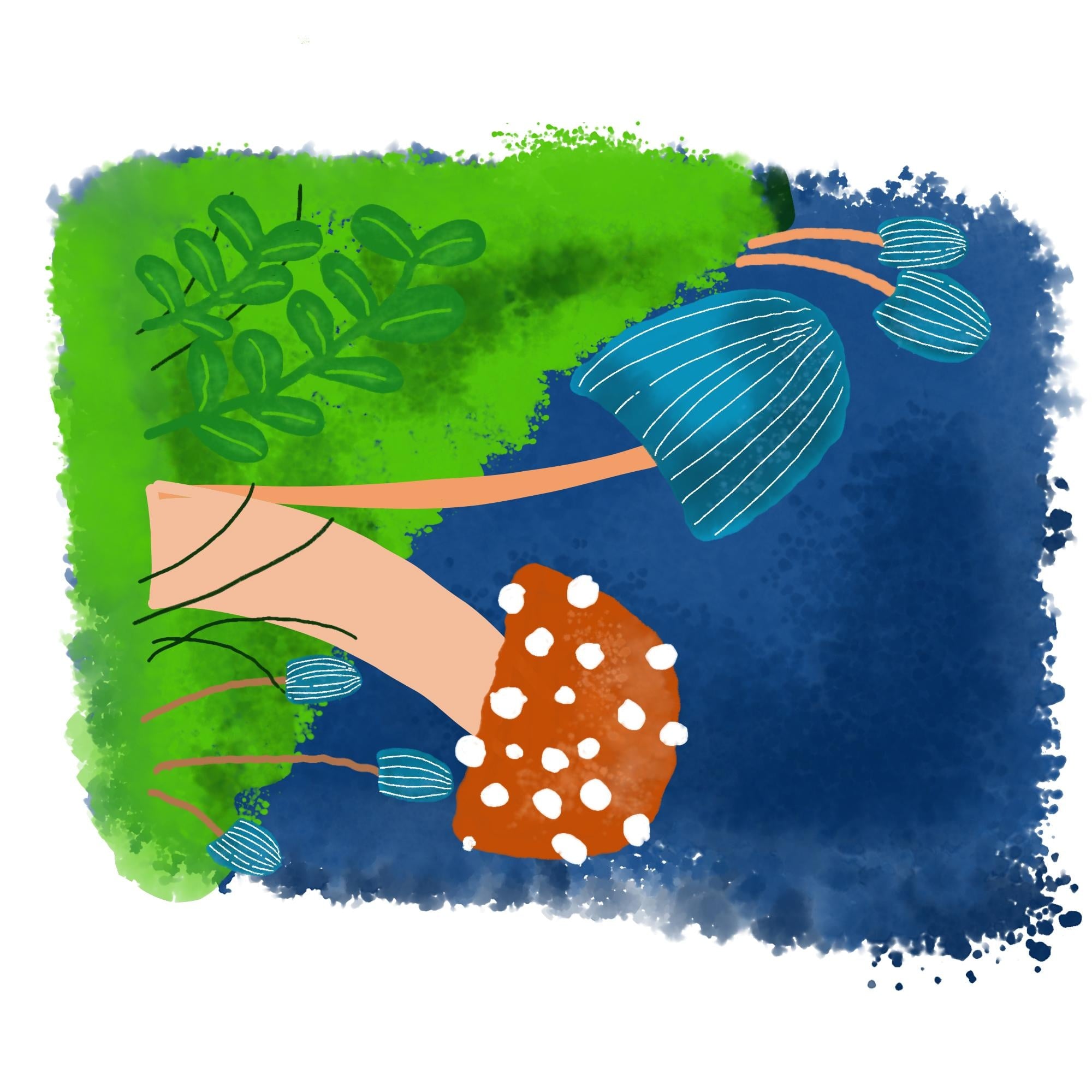 more-projects-from-class-img