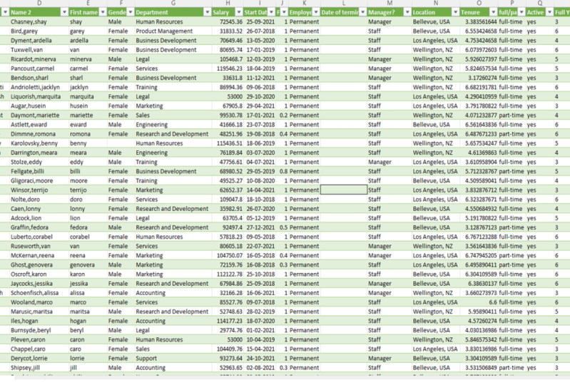 company staff data
