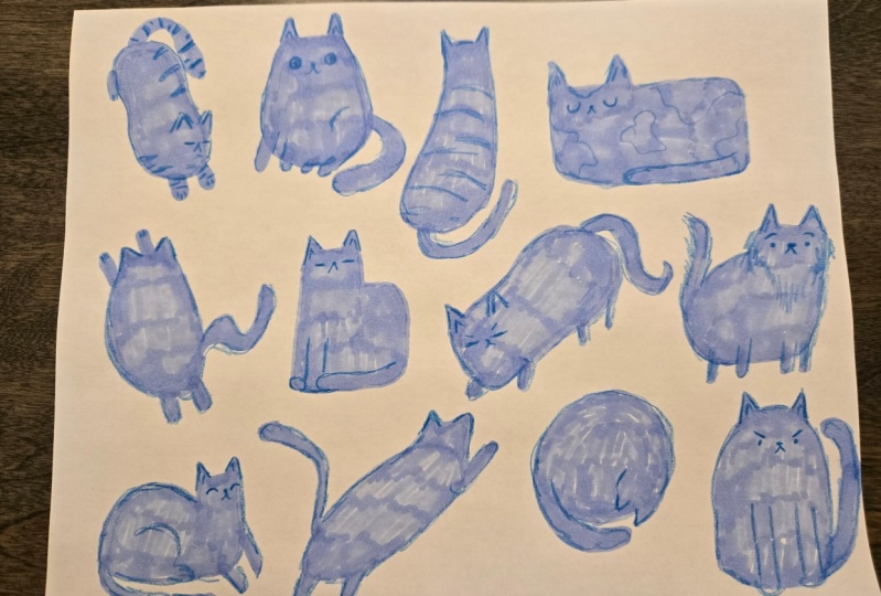 Fun Cats!