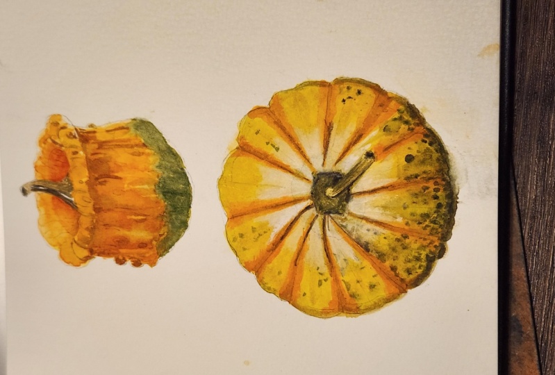 Gourds